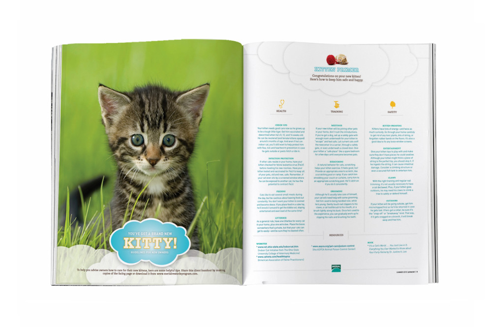 protector_kitty_spread